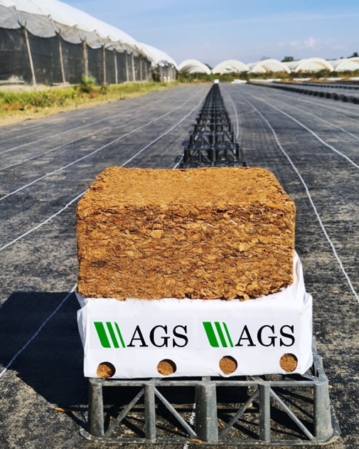 Coco Peat Production